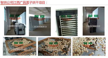 空氣能熱泵蓮子干燥機 智烘護航，解鎖蓮子與茶葉高品質干燥新境界